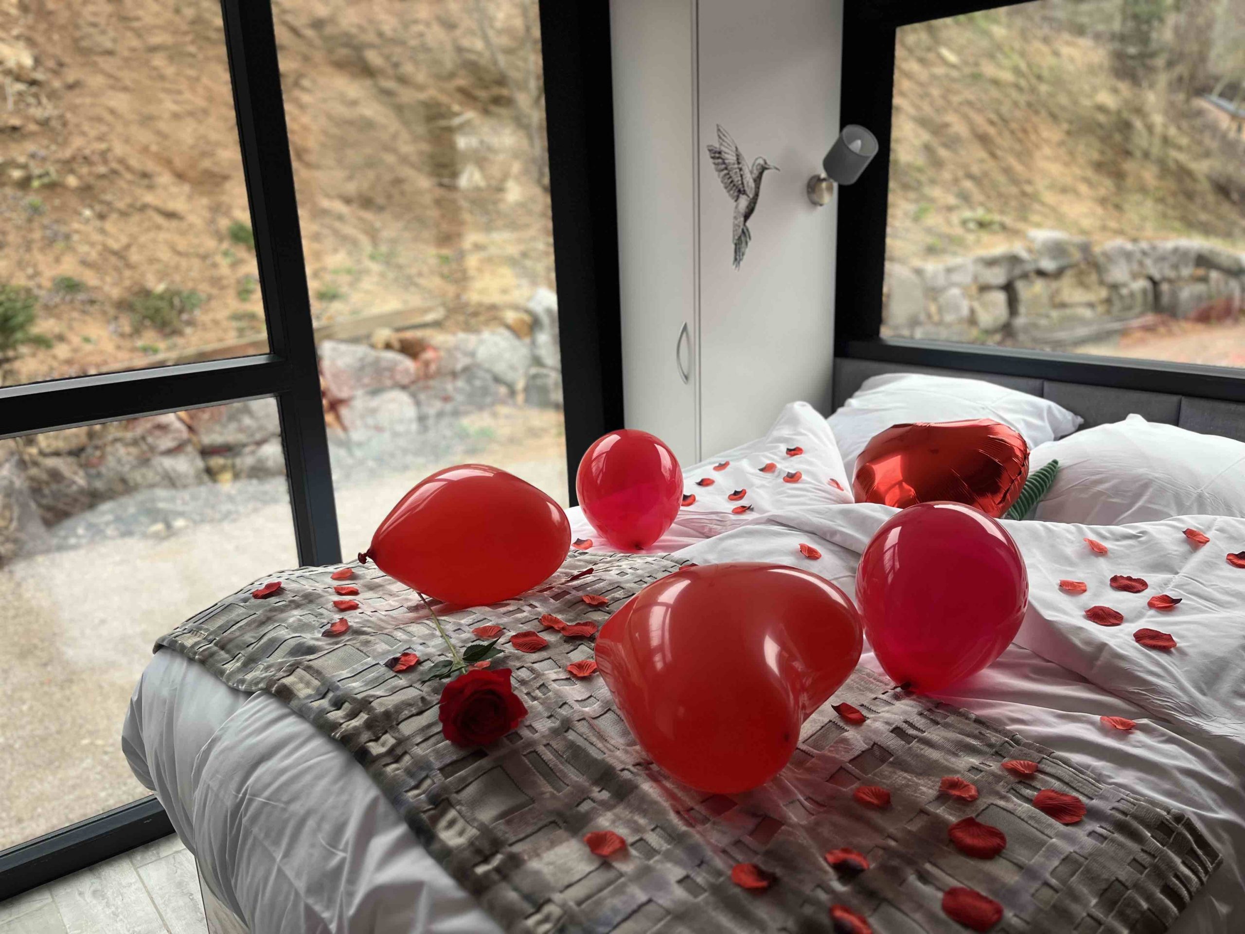 Chambre romantique Tiny House Cephee Gite Insolite Terrasse et Bain Nordique Alsace