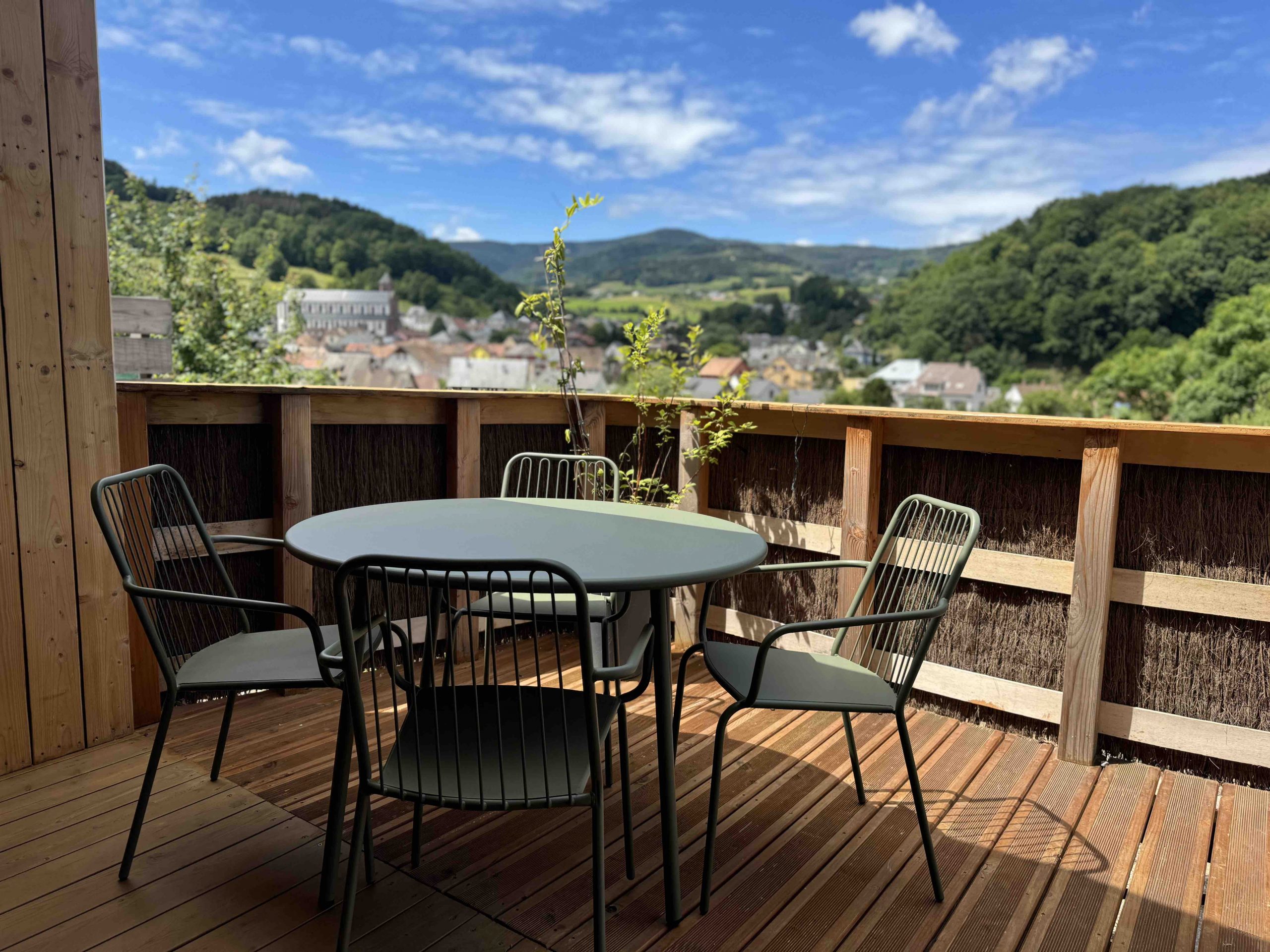 Gite Terrasse avec vue Montagnes Bain Nordique Alsace