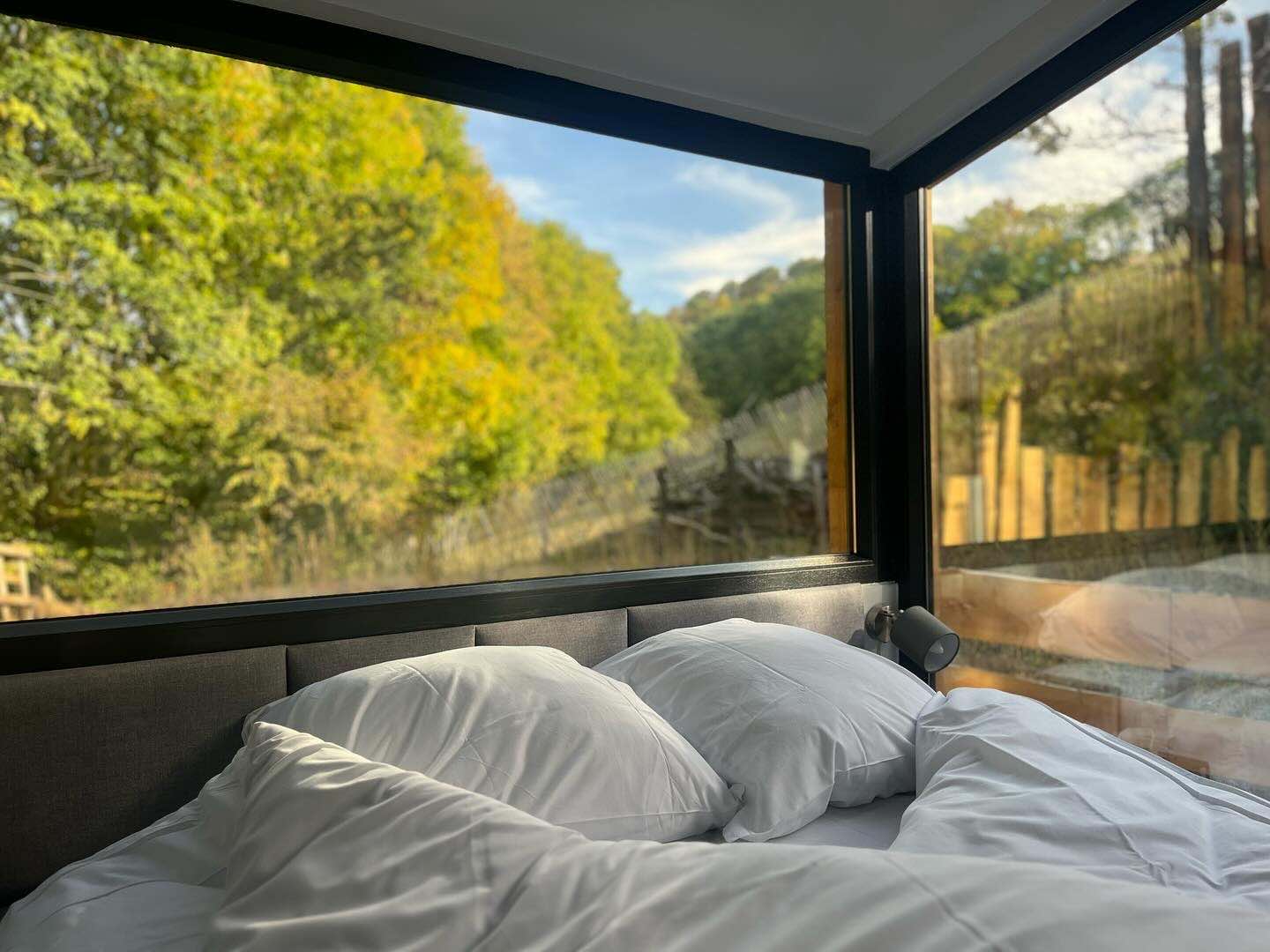 Chambre Petite Ourse avec vue nature Tiny House